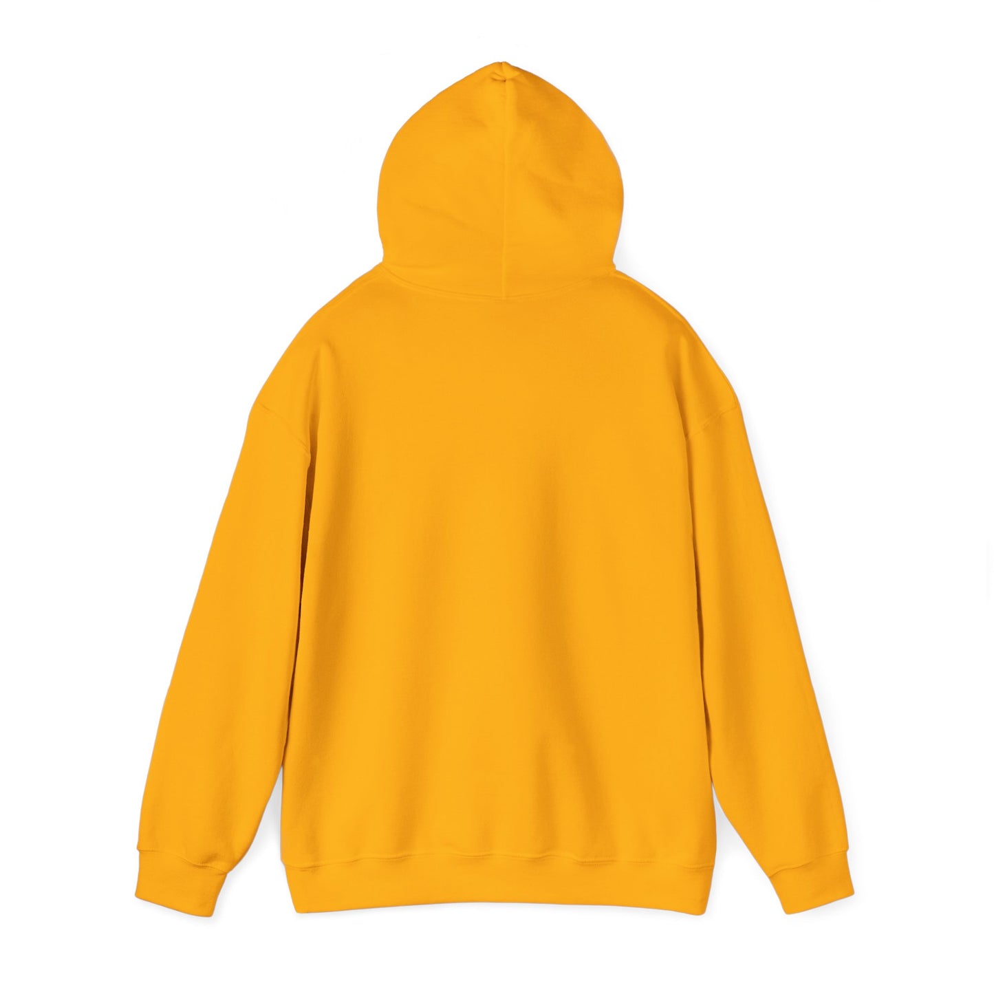 ABSTRACT FINISHING SCHOOL - Hooded Sweatshirt